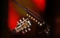 Gov't Mule (20)